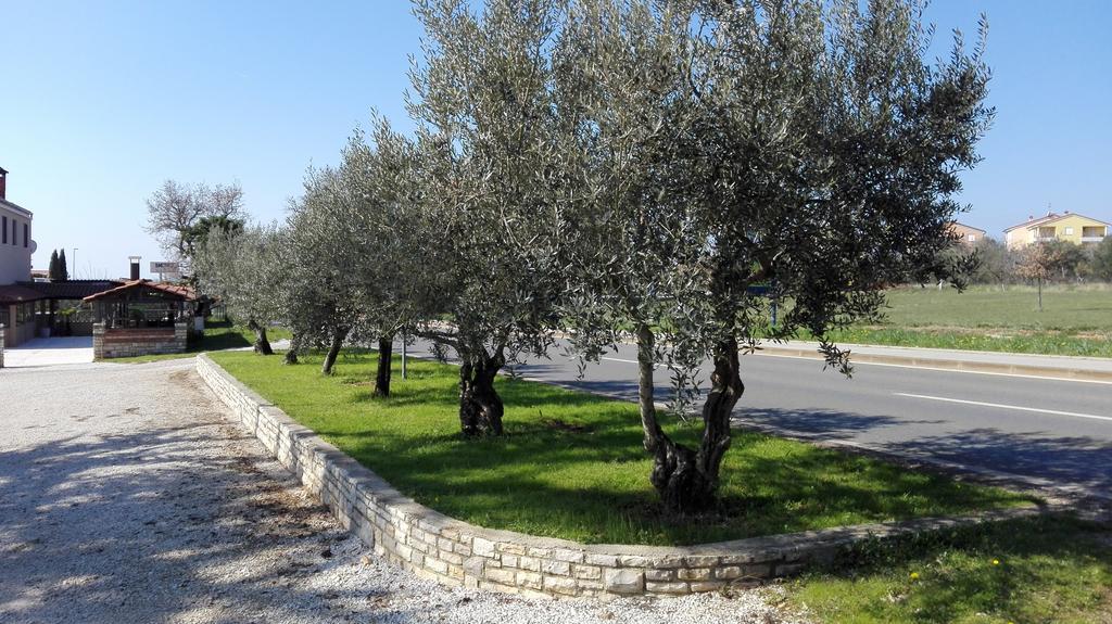 Apartment Luka Novigrad Istria Dış mekan fotoğraf